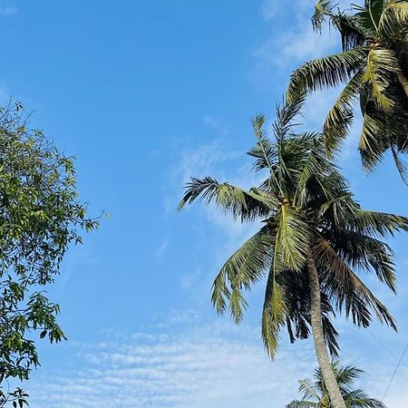 Jilan Homestay Bentota Zewnętrze zdjęcie