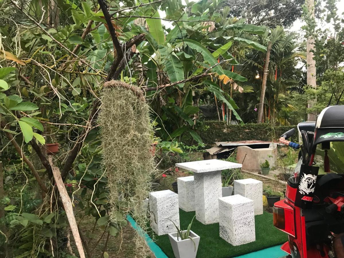 Jilan Homestay Bentota Zewnętrze zdjęcie