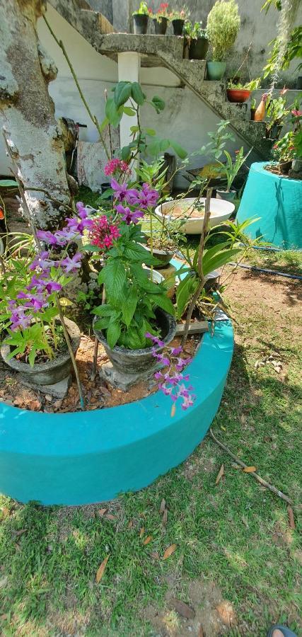 Jilan Homestay Bentota Zewnętrze zdjęcie