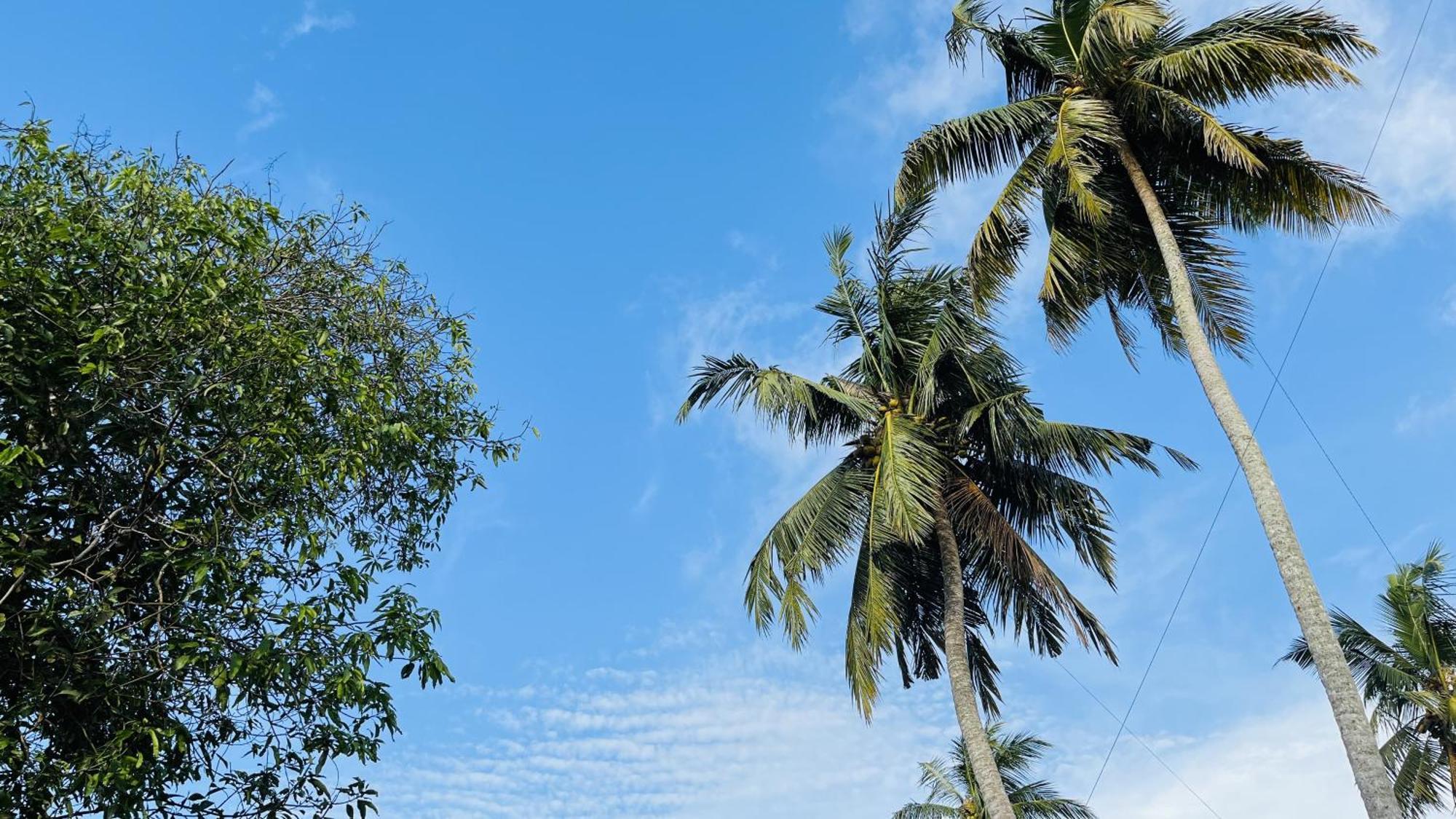 Jilan Homestay Bentota Zewnętrze zdjęcie