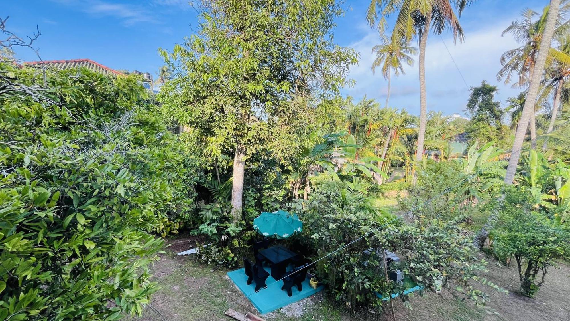 Jilan Homestay Bentota Zewnętrze zdjęcie
